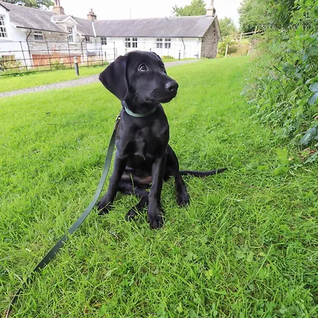 Abbots Reading Lakeside