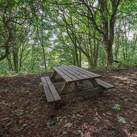 Casa vacanze Abbots Reading